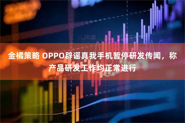 金橘策略 OPPO辟谣真我手机暂停研发传闻，称产品研发工作均正常进行