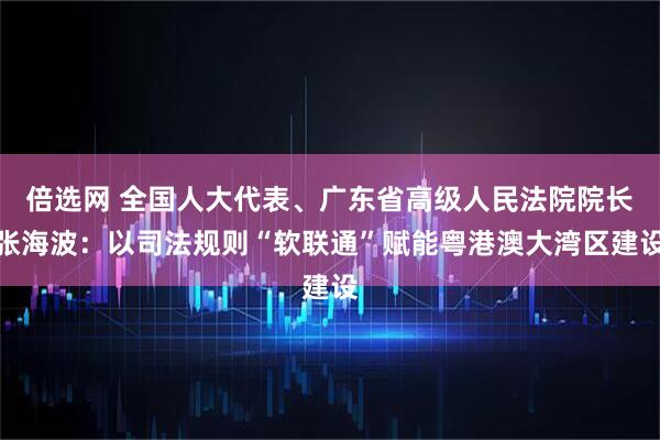 倍选网 全国人大代表、广东省高级人民法院院长张海波：以司法规则“软联通”赋能粤港澳大湾区建设